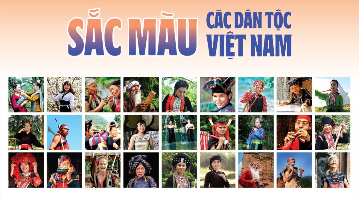 Không có miêu tả
