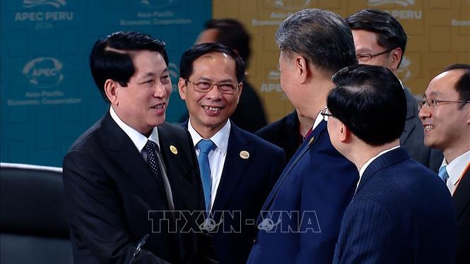 Chủ tịch nước Lương Cường gặp Tổng Bí thư, Chủ tịch Trung Quốc Tập Cận Bình nhân dịp tham dự Tuần lễ cấp cao APEC 2024 tại Lima, Peru (15/11/2024)