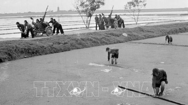 Phong trào Ba đảm đang (22/3/1965)