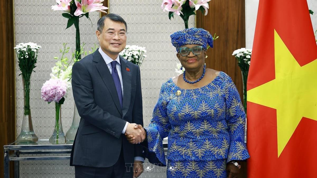Thủ tướng Lê Minh Hưng tiếp Tổng Giám đốc WTO Ngozi Okonjo-Iweala nhân dự Hội nghị Thượng đỉnh BRICS tại Ấn Độ (12/9/2026)
