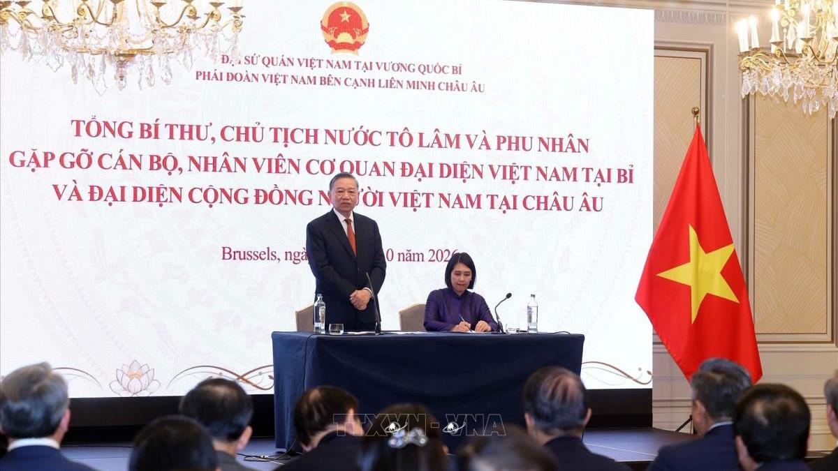     Tổng Bí thư, Chủ tịch nước Tô Lâm gặp gỡ cán bộ, nhân viên Cơ quan đại diện Việt Nam tại Bỉ và đại diện cộng đồng người Việt Nam tại châu Âu