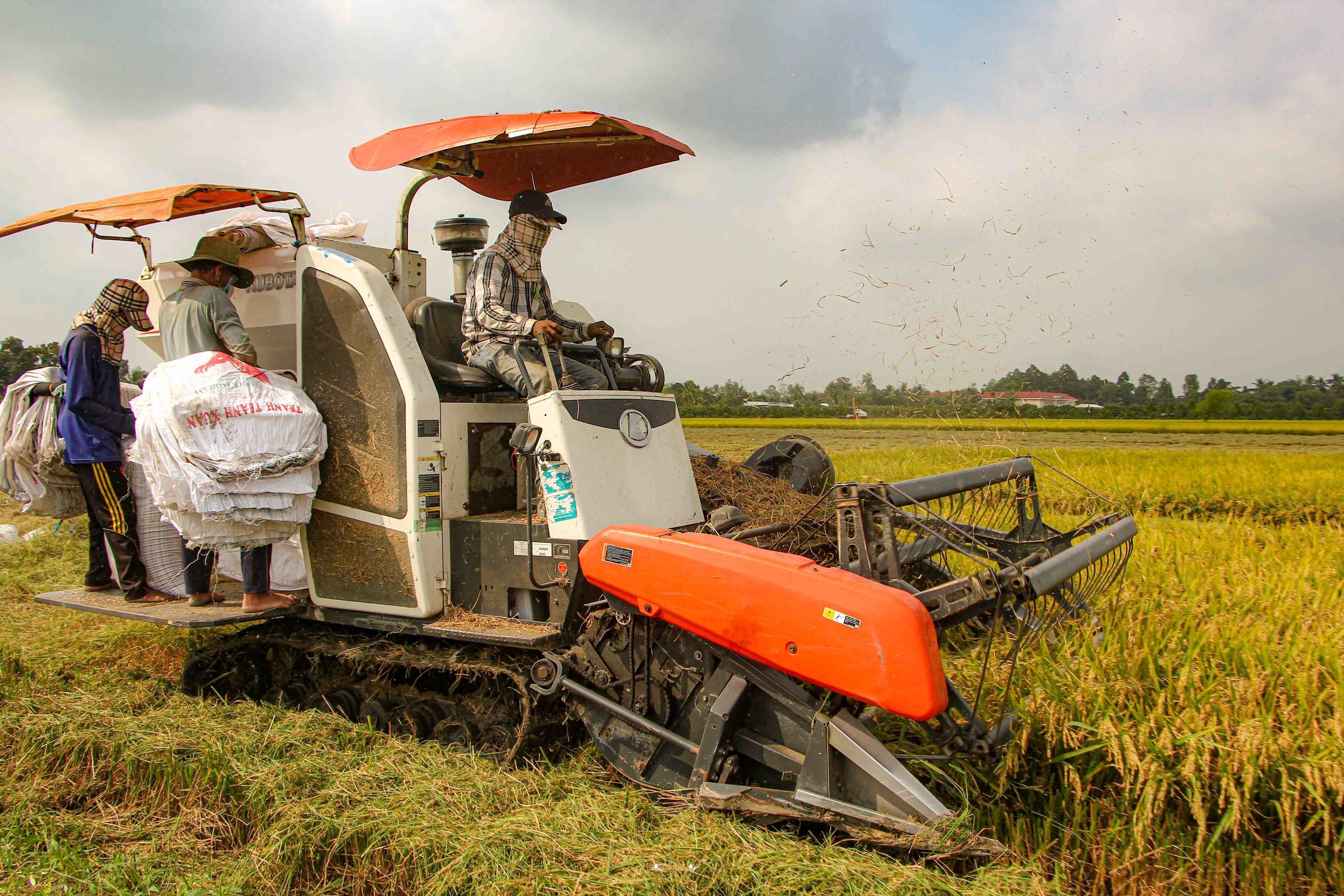 Hội Nông dân Việt Nam