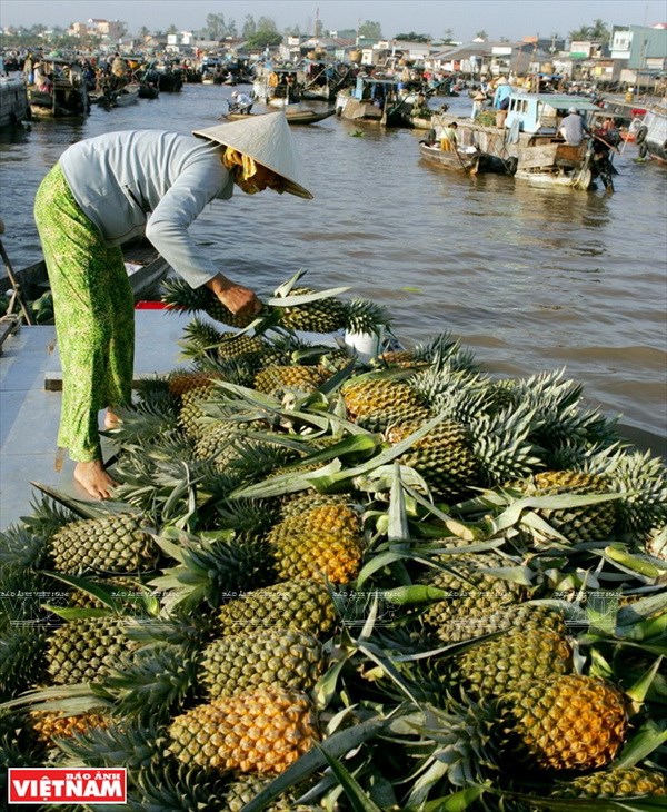 Cần Thơ (đến 12/6/2025)