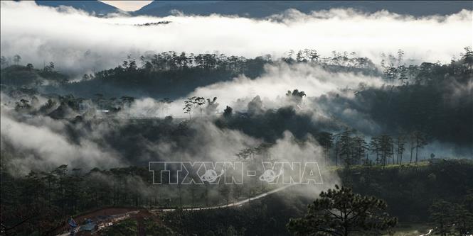 Lâm Đồng (đến 12/6/2025)