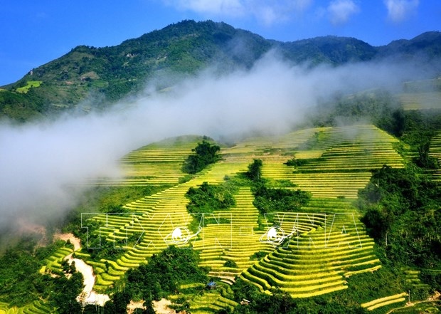 Lào Cai (đến 12/6/2025)