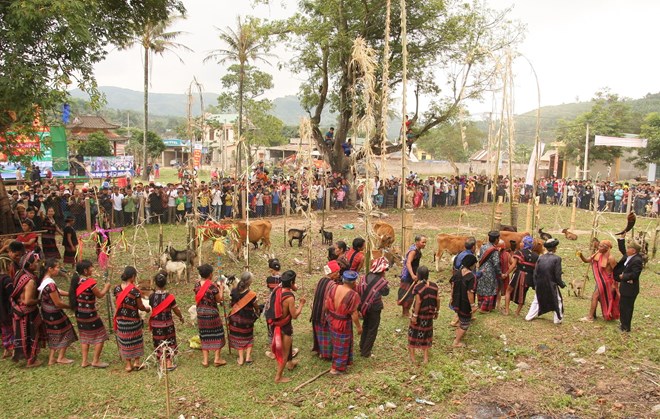  Lễ hội Ariêu piing của người Tà Ôi (Pa cô) (Quảng Trị)