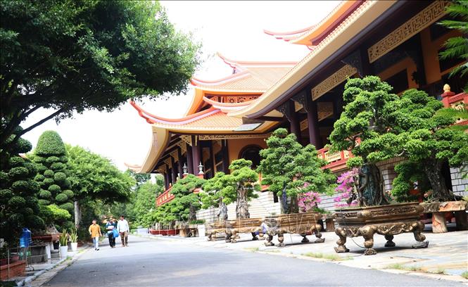 Tiền Giang (đến 12/6/2025)