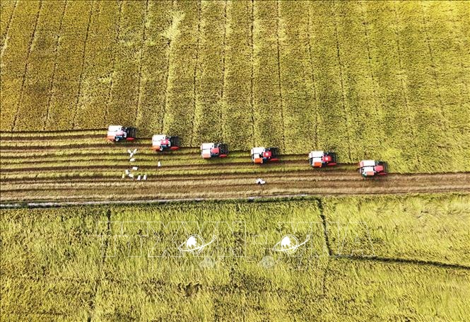 Kinh tế Việt Nam năm 2023