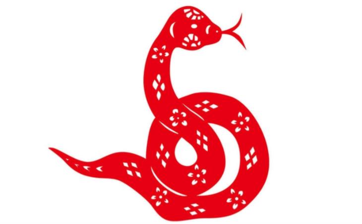 Năm con Rắn (Năm Tỵ)