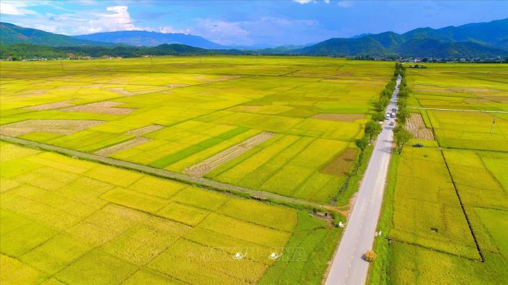 Ngành Nông nghiệp tăng trưởng cao nhất trong nhiều năm qua