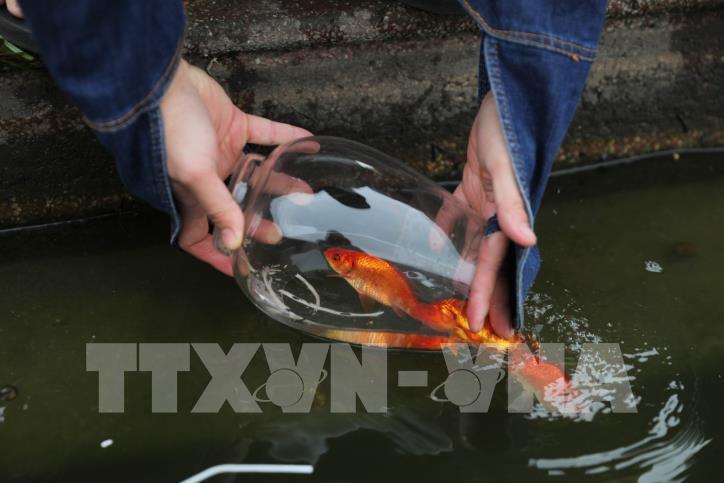Những lễ cúng quan trọng trong tháng Chạp của người Việt