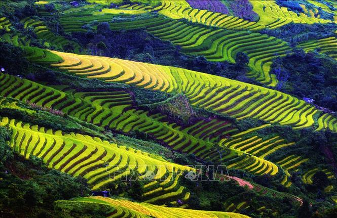 Việt Nam khẳng định vị trí trên bản đồ du lịch thế giới