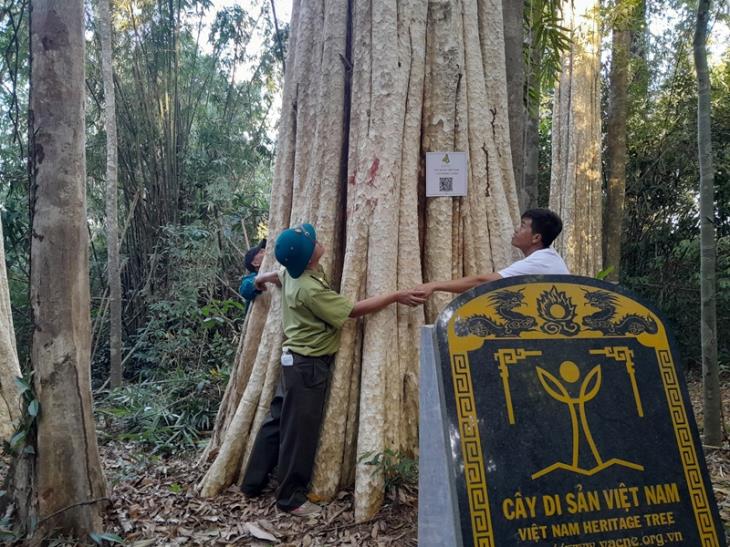 Cây di sản Việt Nam