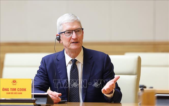 Tim Cook