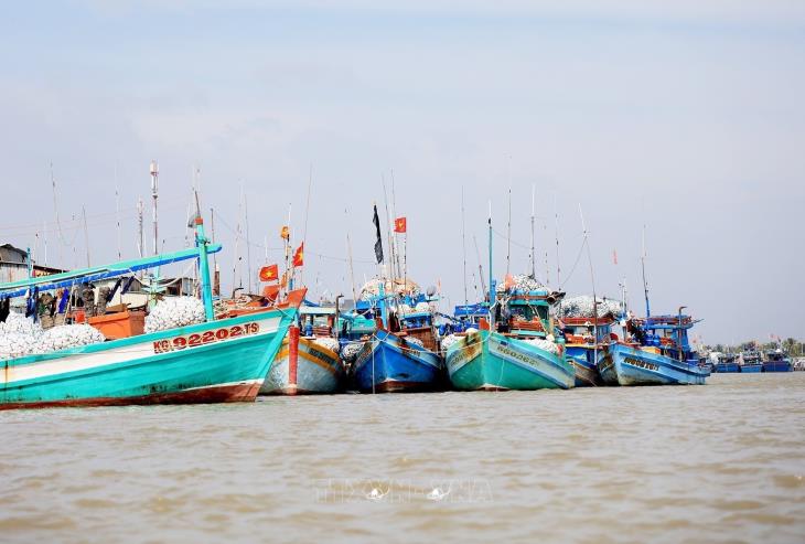 Chống khai thác thủy sản bất hợp pháp và phát triển bền vững ngành thủy sản