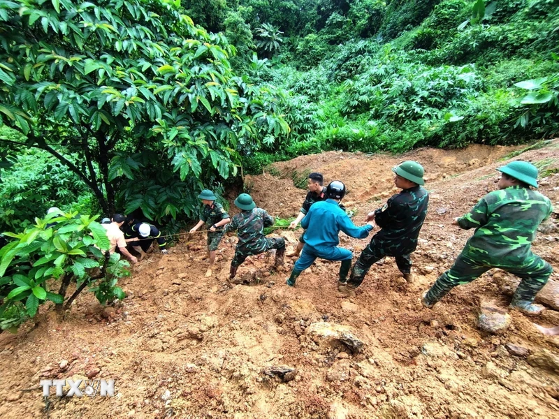 Những vụ sạt lở gây thiệt hại lớn