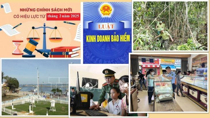 Chính sách có hiệu lực từ tháng 2/2025