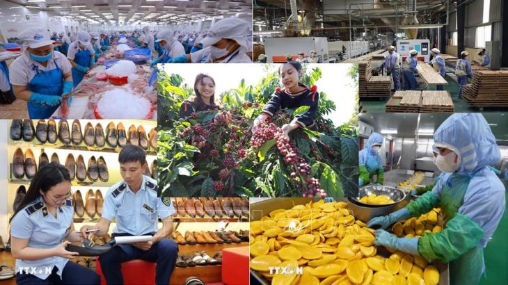 Kinh tế Việt Nam tháng 6/2025 và quý II/2025