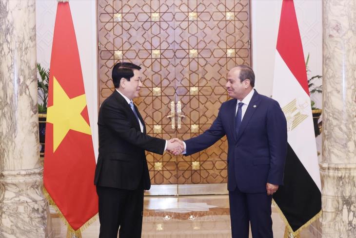 Làm sâu sắc và nâng tầm quan hệ hữu nghị truyền thống Việt Nam - Ai Cập