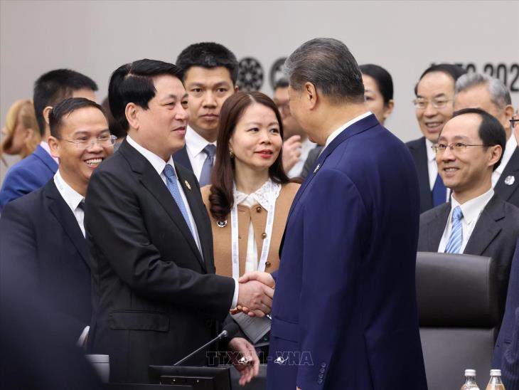 Chủ tịch nước Lương Cường gặp Tổng Bí thư, Chủ tịch Trung Quốc Tập Cận Bình