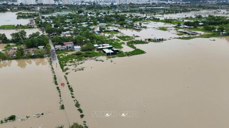 Mưa lũ, sạt lở đất đặc biệt tại Gia Lai, Khánh Hòa, Đắk Lắk, Lâm Đồng (11/2025)