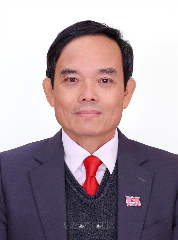 Trần Lưu Quang