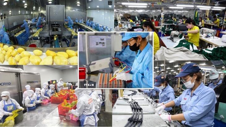 Kinh tế Việt Nam tháng 7/2026